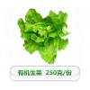 有機生菜