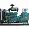 100kw濰坊柴油發(fā)電機(jī)組，100千瓦柴油發(fā)電機(jī)組廠家