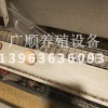 蛋雞籠設備