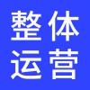 企業(yè)整體運(yùn)營方案